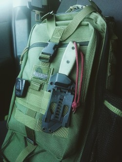 realedc:  This is my Maxpedition Pygmy Falcon II. It’s the perfect size for my essentials, tough as nails, and affordable. You should own one. 