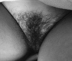 Hairy Bushy Pussy