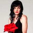 pauleyperretteworld avatar