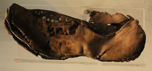 thesilicontribesman: Roman Shoes Set 2 at Vindolanda Roman Fort, near Hadrian’s Wall, Northumb