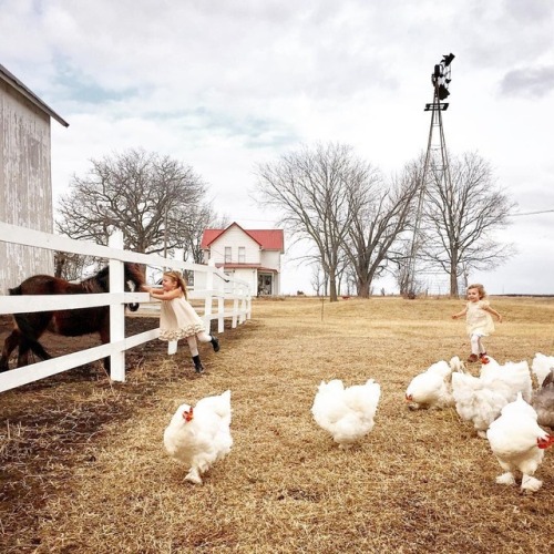 TuesdayMood www.instagram.com/bryartonfarm