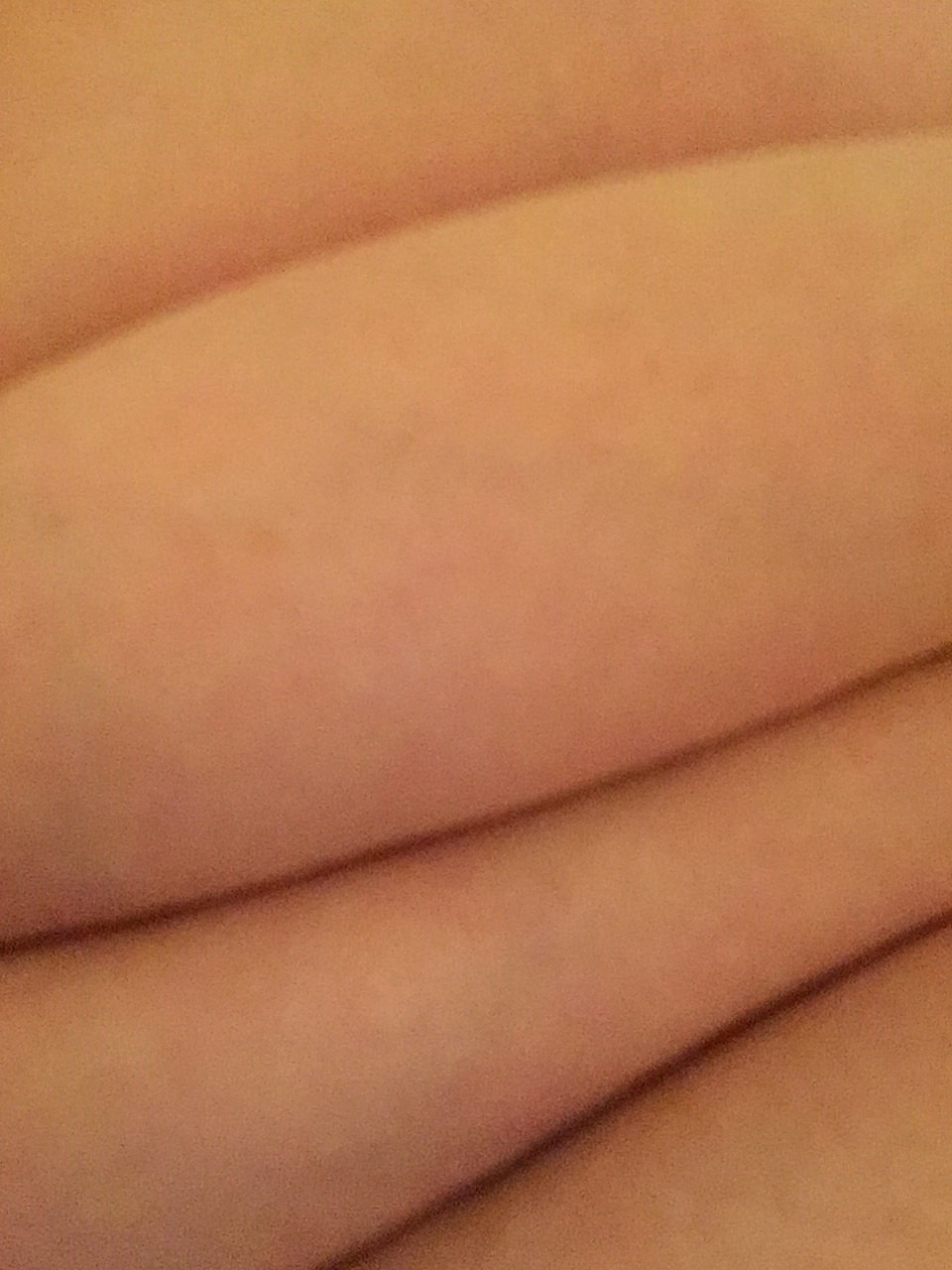 pleasantlyplumpssbbw:  Breast  Top roll Bottom roll Fat leg  My top roll engulfs