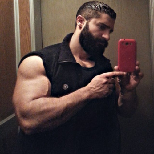 hot muscle guys collection