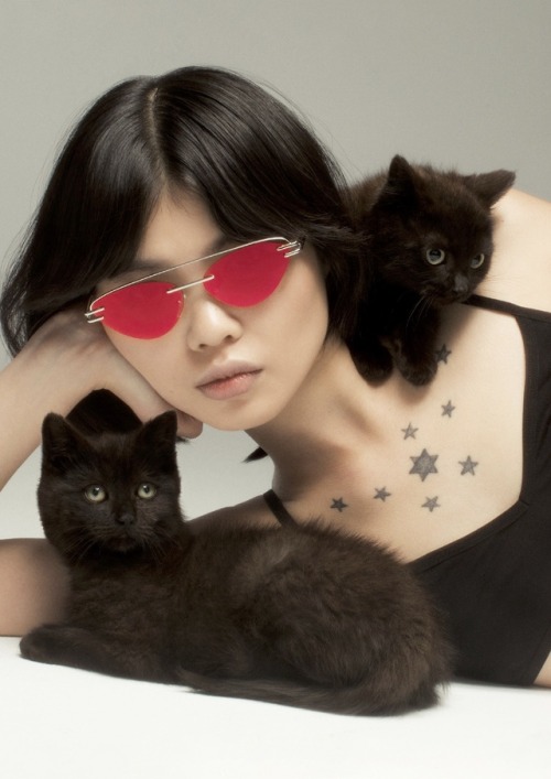 mademoiselleclipon: Animal Optics  / Christine Hahn  
