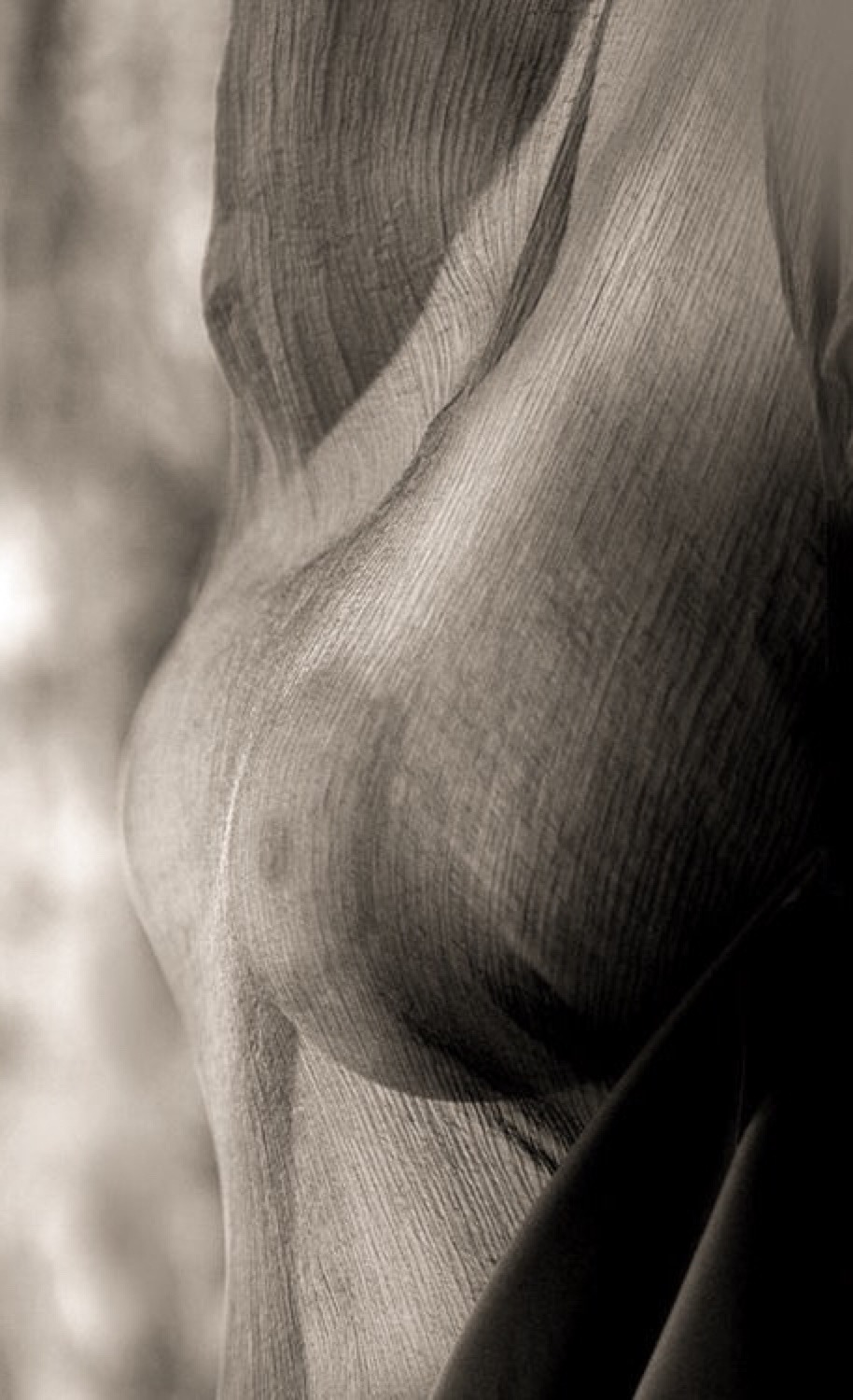 Quello che cerchi