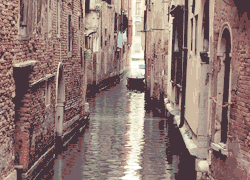 flauntmagazine:  Venice Canals (2015). Videos
