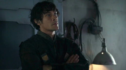 bellarke