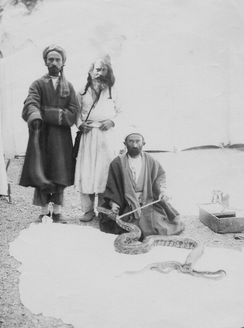 Dmitry Yermakov, Dervishes with snakes, Persia, 1870s