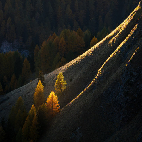 Dolomites 