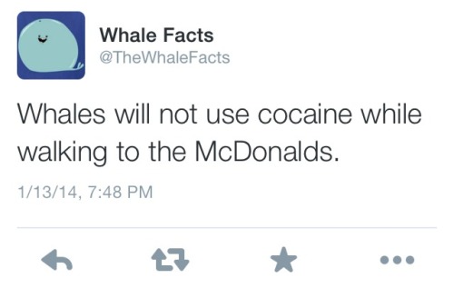 unclemother:  one of the many reasons whales are good friends