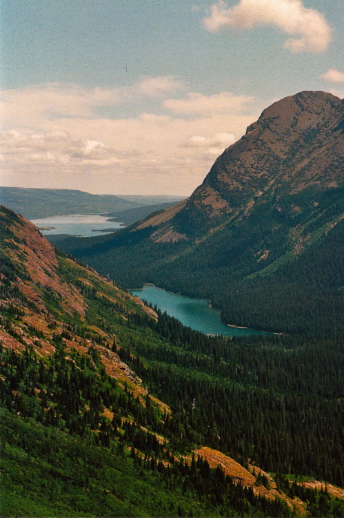 k0asts:  lvndcity:  Untitled by rachael schumacher | Flickr US  ~