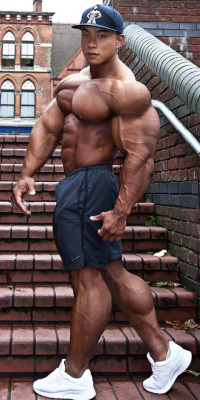 Another morph from Hardtrainer.