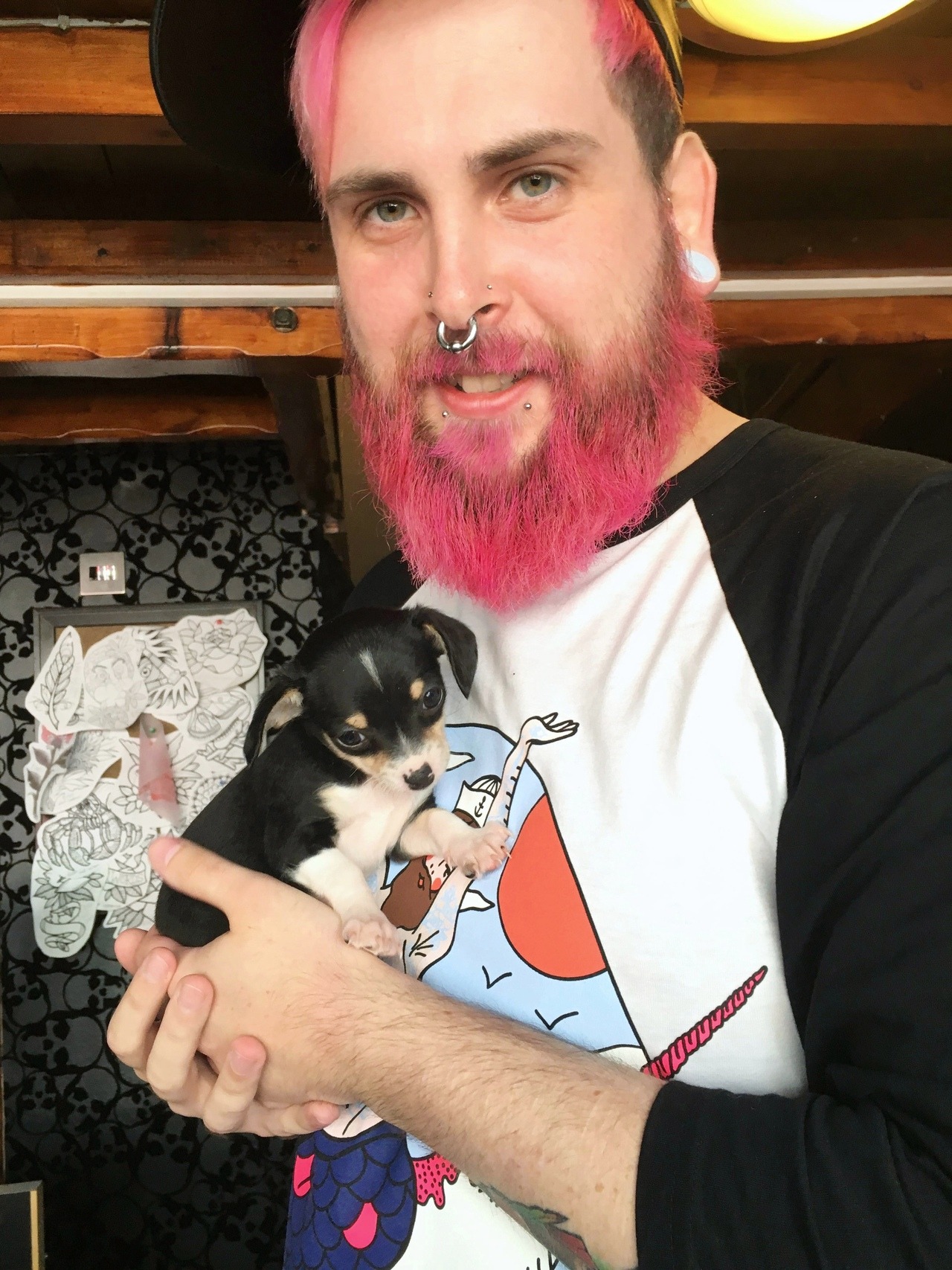 kiimon:  A CUTE PUPPY CAME INTO THE STUDIO TODAY AAHH