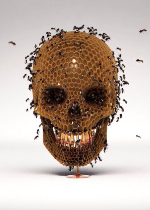 oursoulsaredamned:  Skull Hive by Luke Dwyer 