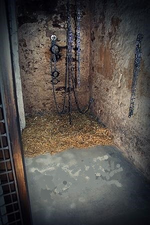 er-3001:  glasgowsuavegirl:  the-dark-basement:Quarters fit for a princess.  “Waiting” room….   Your room for the night cunt