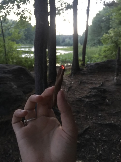 fishfucked: we smoked this blunt on a swing together @psychedelic-freak-out