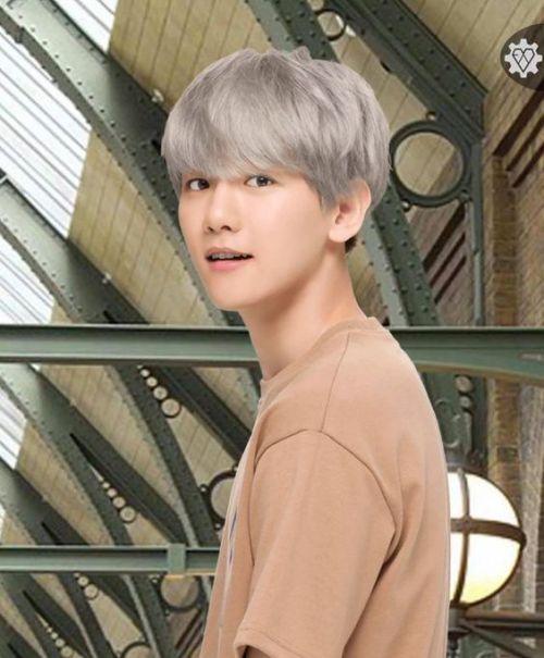 misskpopforever - Chanbaek… grey hair