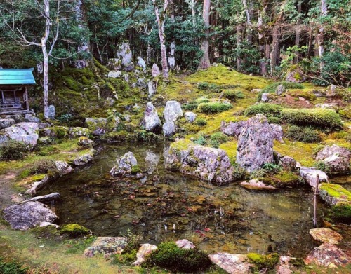 ＼おにわさん更新情報／ ‪[ 福井県小浜市 ] 圓照寺庭園 Ensho-ji Temple Garden, Obama, Fukui の写真・記事を更新しました。 ――#重森完途 氏も気に入り何度も訪