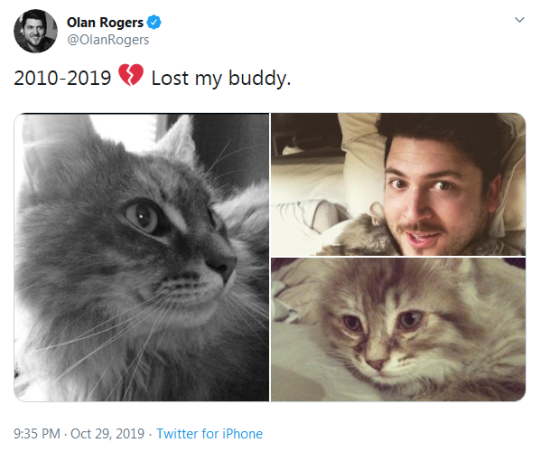 constructedparadox:  florenceisfalling:  space-finally:  papercrane-asdzaan:  transformers-why:  ask-eclipsemtmte-stuff:   olanrogers:  #ripvine Even though I only ever did like 9 vines 😂  THIS CAT’S NAME IS FUCKING STARSCREAM   IM LOVING THIS SO