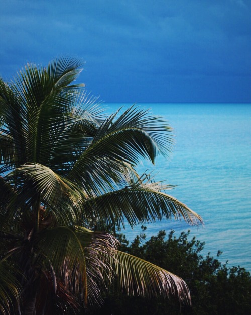 thelifeofjessicaa:  Currently. I love life. Instagram: @thelifeofjessicaa  ❁❁ tropical blog, followi