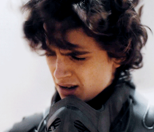 Timothee Chalamet AsPaul Atreides In DUNE