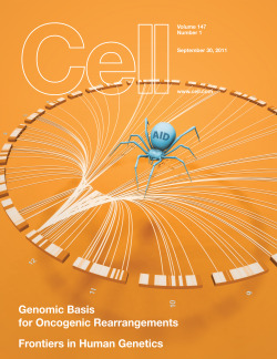 Cover illustration for Cell. Article description chromosomal rearrangements in B lymphocytes.
Illustration: Ethan Tyler