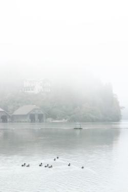 socialfoto:Morning at Lake Königssee by PatrickOltrogge #SocialFoto