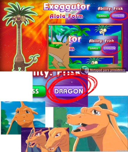 jaycrawler:That moment when you realize that without Mega, a F*cking Palm Tree is more dragon than y