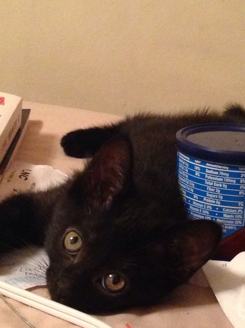 she just threw up but shes still cute