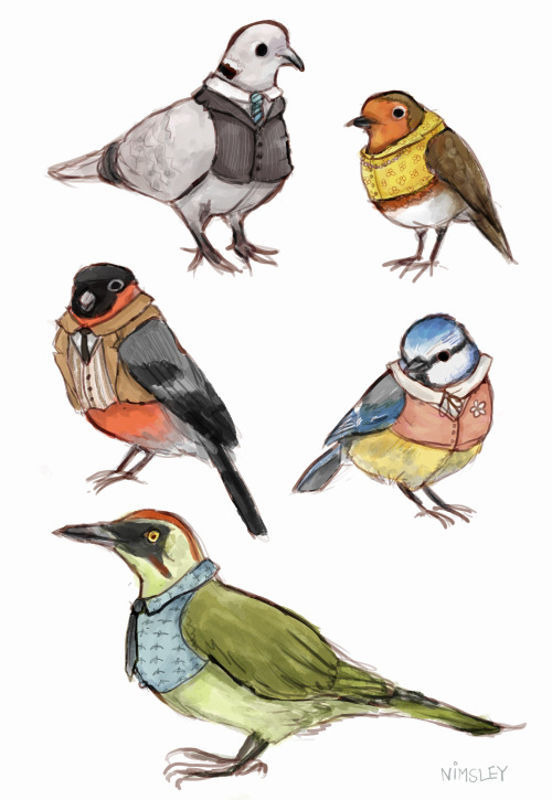 An assortment of birds in their sunday best