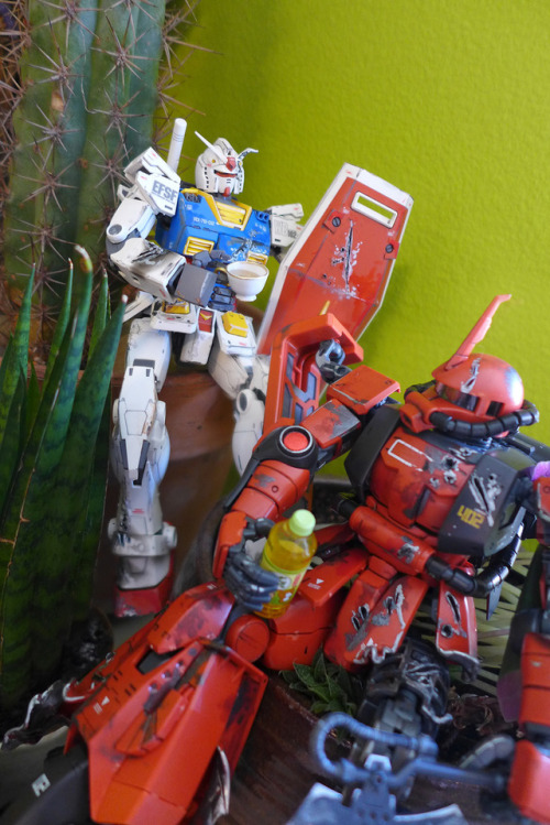 Finally finished my RX-78-2 and MS-06R-2 Zaku II.