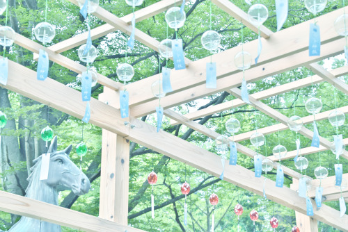 Glass Symphony