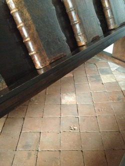 erikkwakkel:  Dog prints in medieval chained library I made this image in the chained library “De Librije” in the Dutch city of Zutphen. Established in 1564, everything about this place is still precisely as it was, including the tiles on the floor.