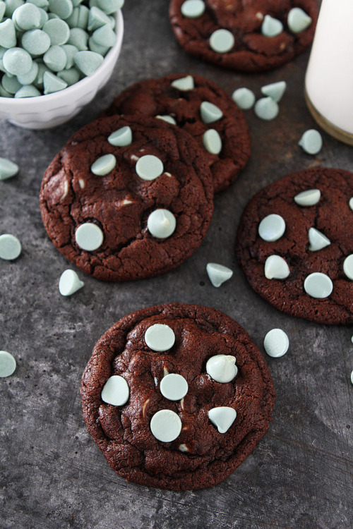 royal-food: Chocolate Mint Chip Cookies