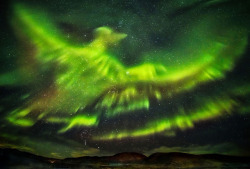 atmospheric-phenomena:  Atmospheric Phenomena: Aurora Borealis Images Resemble Huge Outstretched Phoenix Rising Above Iceland