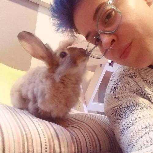 Checking out my glasses. #apricotjambun #pretentiousfuckwit #angorarabbit #angora #rabbitsofinstagra