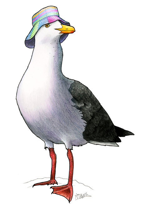 agentleavens:  glitterbutch:  sosuperawesome:  birdsinhats  I am very seriously considering