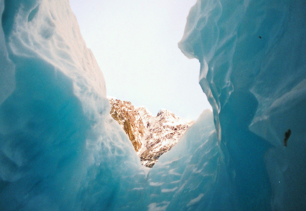 carving-trees:  Franz Josef by Nicola Abraham