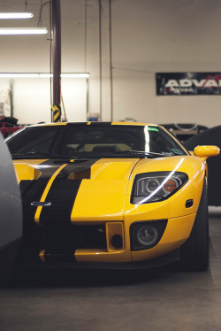 bashum:  Ford GT | Flickr