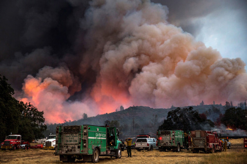 Dozens of wildfires are scouring California this summer in what may go down as the worst fire season