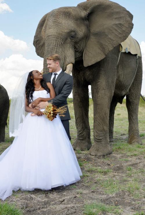 brreaking: blackgirlwhiteboylove: Our African Wedding My wife and I just had our African wedding cel