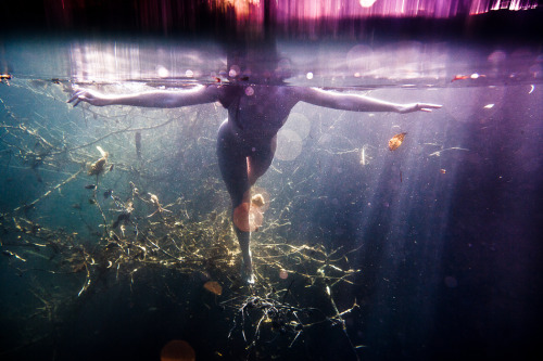theonlymagicleftisart:Underwater Photography by Neil CraverTumblr | Facebook | WebsiteTo subscribe t