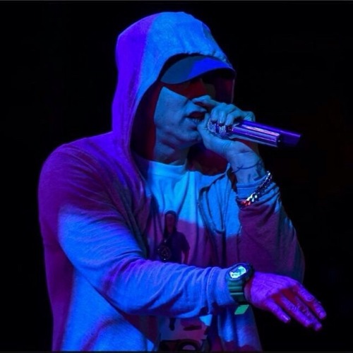 imrapgod:  King Mathers - 12/03/2016 Lollapalooza  OMG!! I WAS THERE. I STILL DONT BELIEVE I SAW EMINEM IN PERSON SINGING ON THE STAGE ALMOST IN FRONT OF ME.