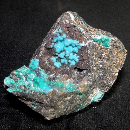 Chalcedony coated Chrysocolla with Brochantite - Los Azules Mine, Quebrada San Miguel, Copiapo, Atac