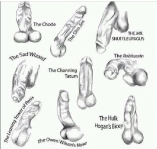 bigdicksaroundthaworld: Which one are you? #Theslimjam ✋ The Chode, lmfao. Wbu guys?