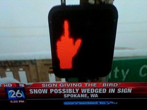 sammyplaidchester:  collegehumor:  Spokane, WA turns strangely hostile towards pedestrians.    spokane is just strange in general 