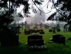 throne-of-perdition:  Nice moments at the foggy graveyard today.