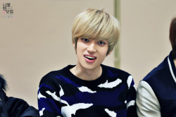 nielfacts:  [2] 131116 NIEL at Daegu Fansigning