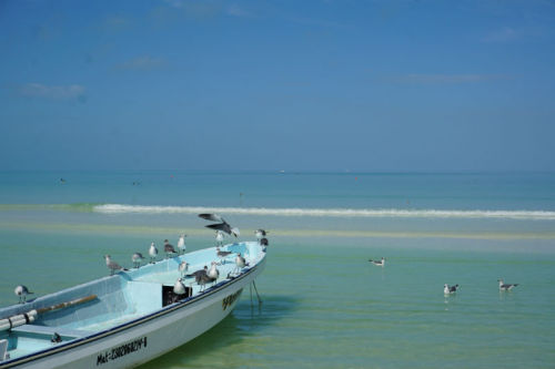 Holbox Island - absolute paradise!