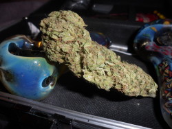stoner-in-disguise:  7g nugget